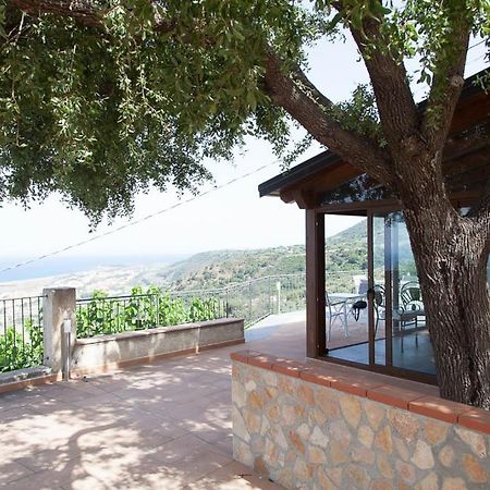 B&B Le Rose Del Tirreno Falerna Exterior photo